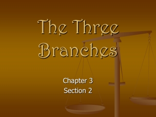 The Three Branches