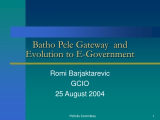 Batho Pele Gateway  and Evolution to E-Government