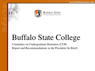 Buffalo State College