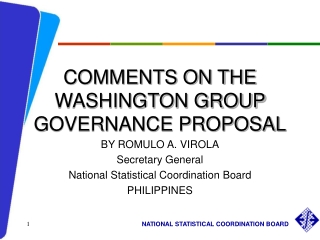 COMMENTS ON THE WASHINGTON GROUP GOVERNANCE PROPOSAL