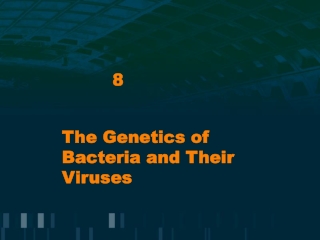 The Genetics of Bacteria and Their Viruses
