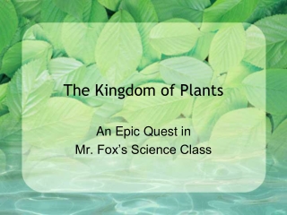 The Kingdom of Plants