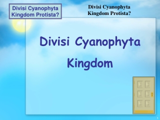 Divisi Cyanophyta Kingdom
