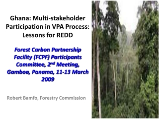 Robert  Bamfo , Forestry Commission