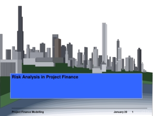 Risk Analysis in Project Finance