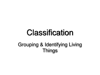 Classification