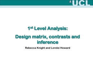 1 st  Level Analysis: Design matrix, contrasts and inference Rebecca Knight and Lorelei Howard