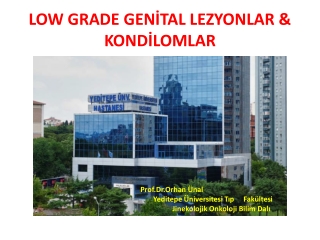 LOW GRADE GENİTAL LEZYONLAR &amp; KONDİLOMLAR