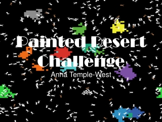 Painted Desert Challenge