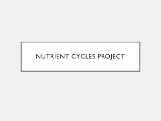 Nutrient  Cycles Project