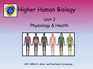 Higher Human Biology