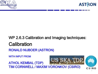 Ronald Nijboer (ASTRON) with input from Athol Kembal (TDP) Tim Cornwell / Maxim Voronkov (CSIRO)