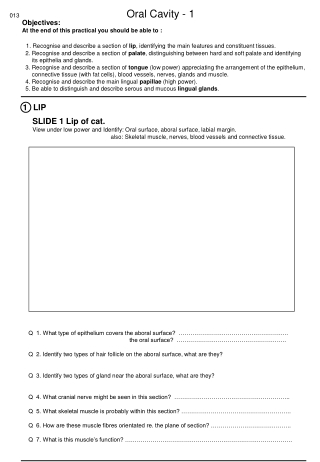 013                                       Oral Cavity - 1