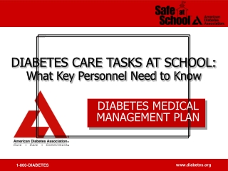 DIABETES MEDICAL MANAGEMENT PLAN