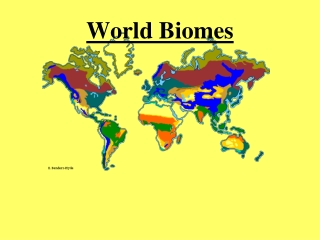 World Biomes