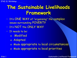 The Sustainable Livelihoods Framework