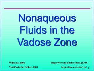 Nonaqueous Fluids in the Vadose Zone