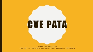 CVE PATA