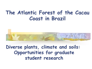 The Atlantic Forest of the Cacau Coast in Brazil