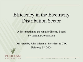 Efficiency in the Electricity Distribution Sector