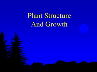 Plant Structure And Growth