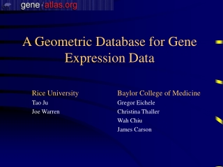 A Geometric Database for Gene Expression Data