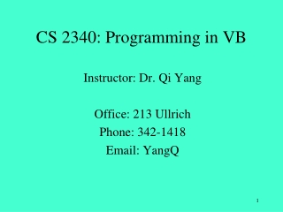 CS 2340: Programming in VB