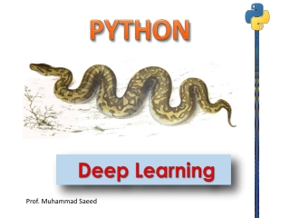 PYTHON