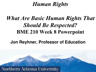 Human Rights What Are Basic Human Rights That Should Be Respected? BME 210 Week 8 Powerpoint