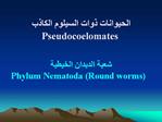 Pseudocoelomates