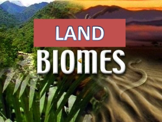 LAND