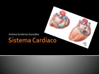 Sistema Cardíaco