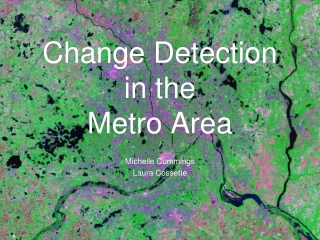 Change Detection  in the  Metro Area
