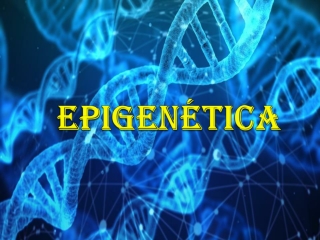 EPIGENÉTICA