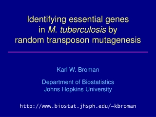 Identifying essential genes in  M. tuberculosis  by random transposon mutagenesis