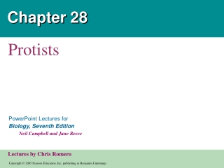 Chapter 28