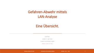Vortrag: Frank R. Walther Synapse Networks GmbH Synalyst