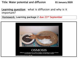 Title: Water potential and diffusion	         01 January 2020