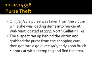 12-0424558 Purse Theft