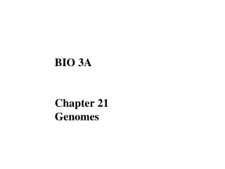 BIO 3A Chapter 21 Genomes