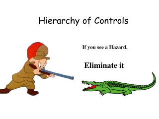 Hierarchy of Controls