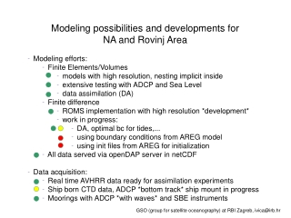 Modeling possibilities and developments for  NA and Rovinj Area  Modeling efforts: