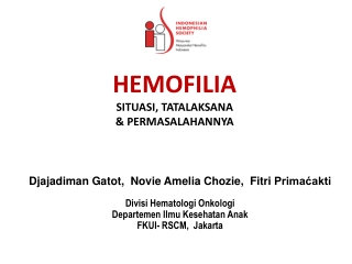 HEMOFILIA  SITUASI, TATALAKSANA  &amp; PERMASALAHANNYA