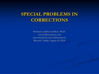 SPECIAL PROBLEMS IN CORRECTIONS Professor: Jeffrey Ian Ross, Ph.D. jeffreyianross