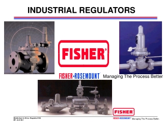 INDUSTRIAL REGULATORS