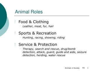 Animal Roles