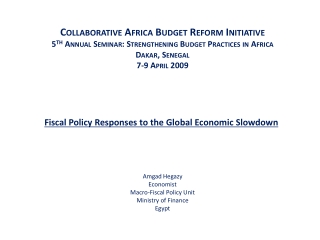 Fiscal Policy Responses to the Global Economic Slowdown