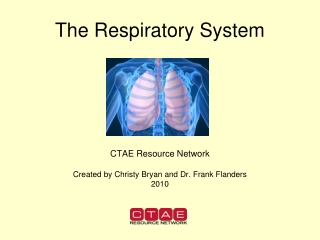 The Respiratory System