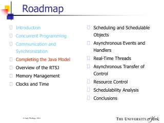 Roadmap