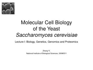 Molecular Cell Biology  of the Yeast  Saccharomyces cerevisiae